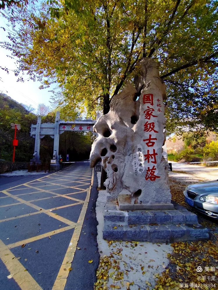 秋约牛记庵